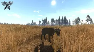 问道老司机血泪史：省钱高效养成攻略，不看后悔一年！