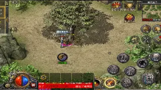 问道私服新纪元：告别爆肝，畅玩无限可能！开服内幕大揭秘